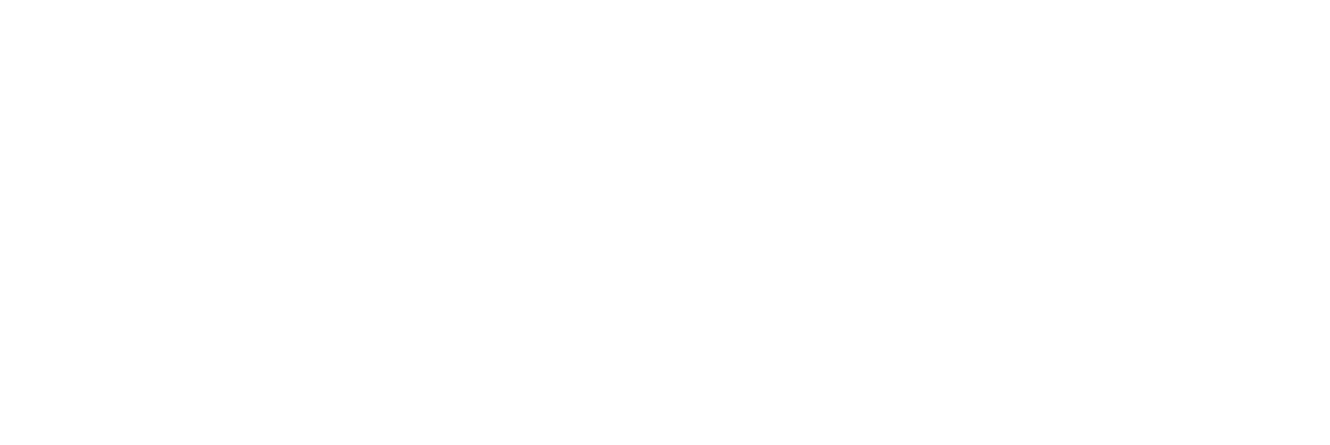iomer-logo-White-01